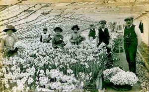 Flora Farm, St Clement