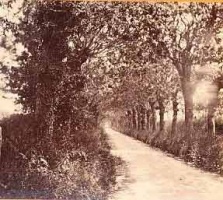 A lane close to St John's Church