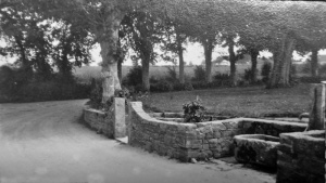 This photograph was captioned Roadside pump, Devil's Hole. We have not been able to establish where it was (is) situated