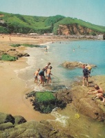 Shrimping at Greve de Lecq