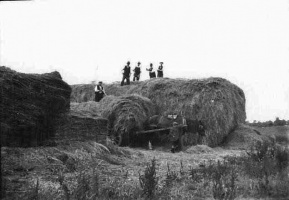 The Pallots haymaking at Netley Green