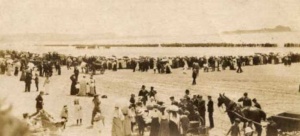 Militia review - 1891