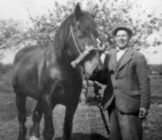 Alfred John de La Haye