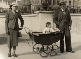 Natalie Louise Renouf (1917-2006) dauther of Alfred John and Marie Louise Botrel, m Basil Hoyet