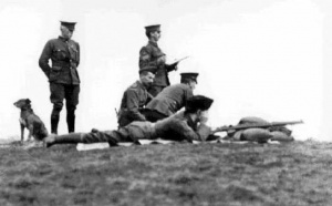 Militia at Grouville Common, early 20th century photograph by amateur photographer Edwin Dale