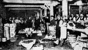 J Terry's Esplanade store