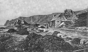 Piles of vraic in front of a granite cottage on the shoreline