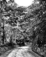 Jersey's main roads were like this in the 1860s