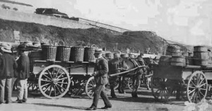 Potato carts queue in 1880