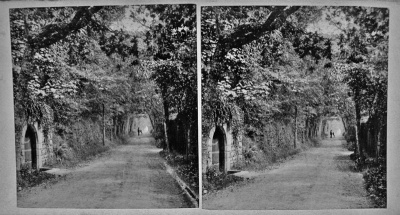 Vinchelez by Mullins