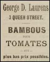 1910 advert in Chronique de Jersey
