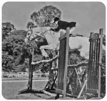 Theresa Louise Surcouf (1939-2002)