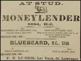 1920 advert in the Chronique de Jersey by Francis Clarence Le Gros, who took over his father Francis George's dairy herd at Les Vaux, St Lawrence