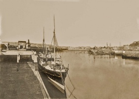 Antelope on the Albert Pier