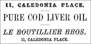 1881 advert