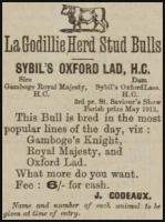 In 1914 Jean Godeaux advertised his bull Sybil's Oxford Lad in the Chronique de Jersey with a service fee of 6 shillings ...