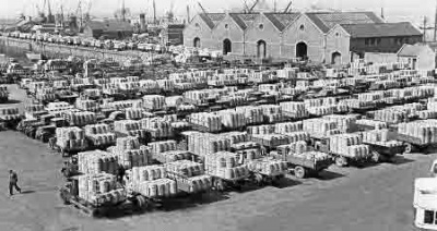 There was a massive export of potatoes a few weeks before the German Occupation