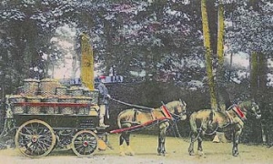 The traditional Jersey horse-drawn potato van