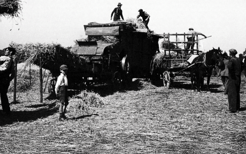 Goliath, the Le Cappelain threshing machine, at St Peter's Ironworks ...