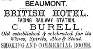 1881 advert