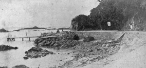 The men's diving stage in 1889