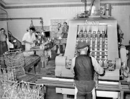 Tanguy's Dairy in 1952