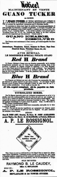 File:GM21Ad1896NouvelleChronique1.jpg