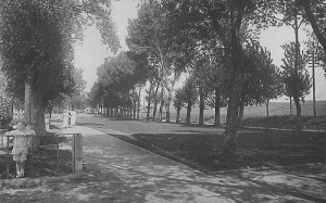 The common as it was in the 19th century