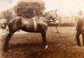 Winter Dutot in the 1920s