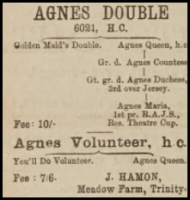 In 1924 J Hamon advertised the services of his bulls Agnes Double and Agnes Volunteer