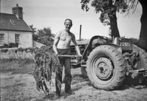 An unknown farmer spreading vraic