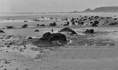 Peat beds exposed in 1925