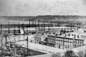 A picture by Philip Godfray showing a harbour full of masted vessels
