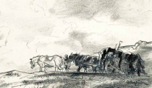 'Carting the vraic home'