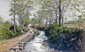 St Lawrence tramway, Philip Godfray