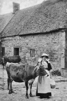 This milkmaid in a Jersey farmyard was wearing a very stiff type of bonnet with none of the pleats of the more traditional variety