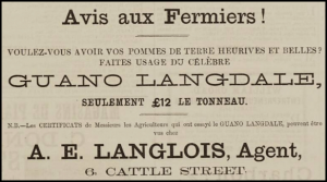 A E Langlois supplied guano at Cattle Street in 1880