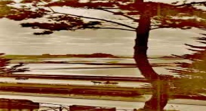 The castle viewed from Westmount