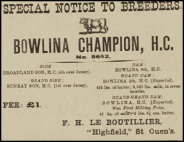 Francis Hamon Le Boutillier's 1920 advert in the Chronique de Jersey