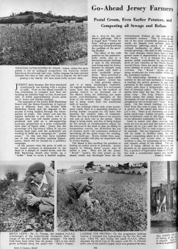 A two-page article in the Illustrated Sporting and Dramatic News on Jersey's go-ahead farmers in 1957