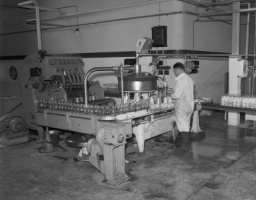 Fairview Dairy in 1953