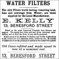 1881 advert
