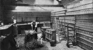 Preparing an overseas order