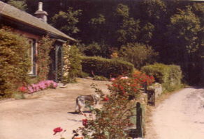 The Twin Cottages, 1973. These delightful cottages were demolished after 1985
