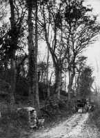 A carriage in the valley, photographed by Percival Dunham