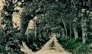 A quiet lane in the parish