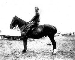A mounted Militia officer