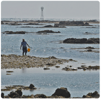 Fishing at low water off the east coast ...
