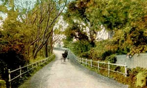 A quiet lane near Rozel