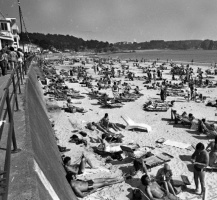 1977 - Picture Jersey Evening Post